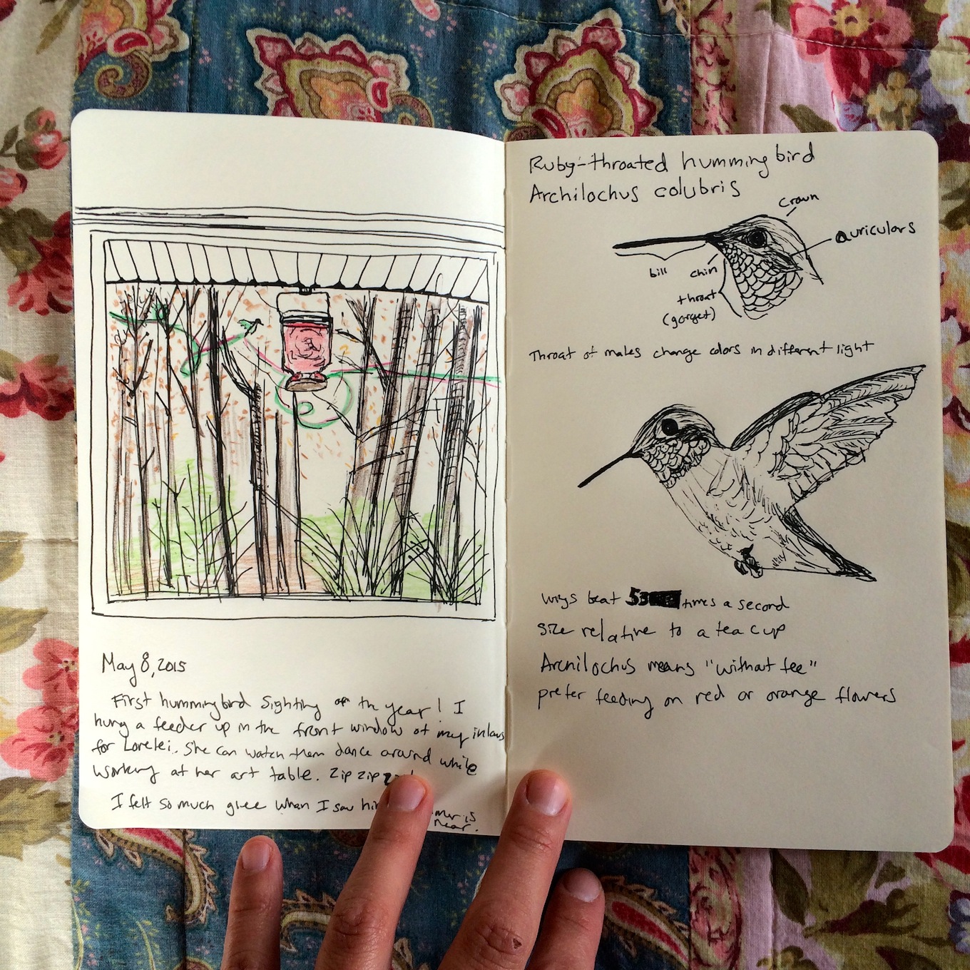 Wild Things 10