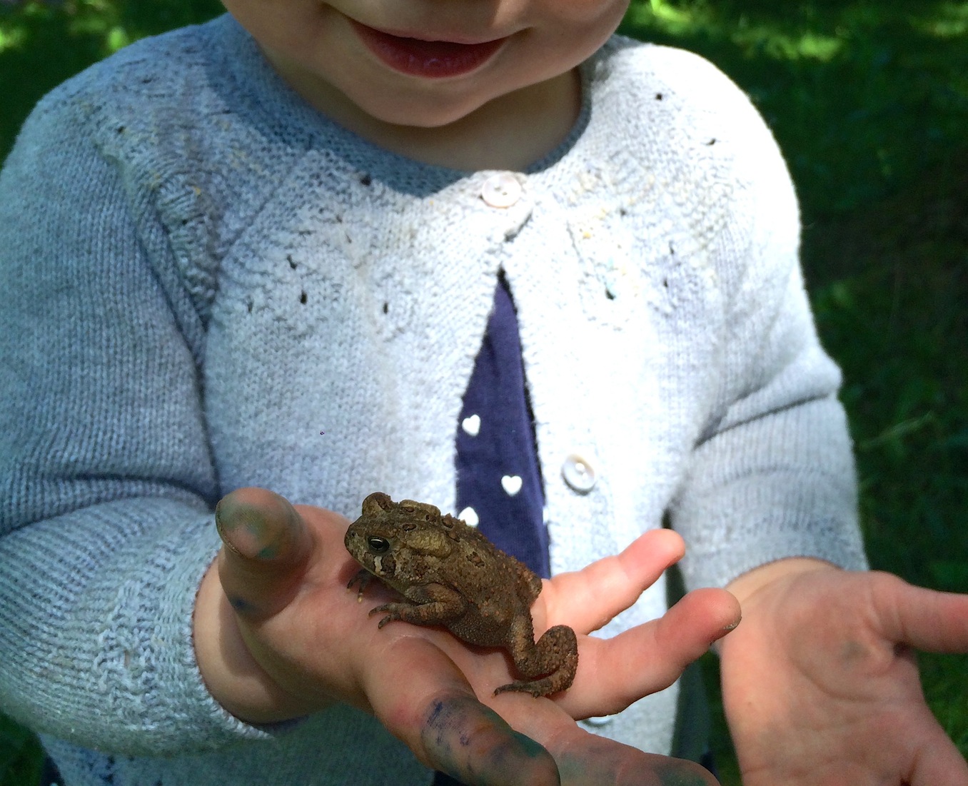 Wild Things 4