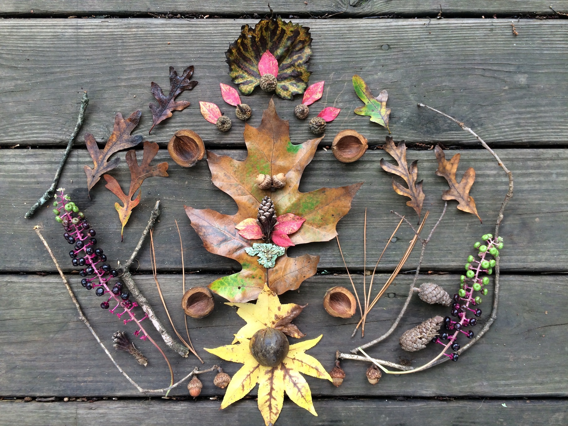 Wild Things 5