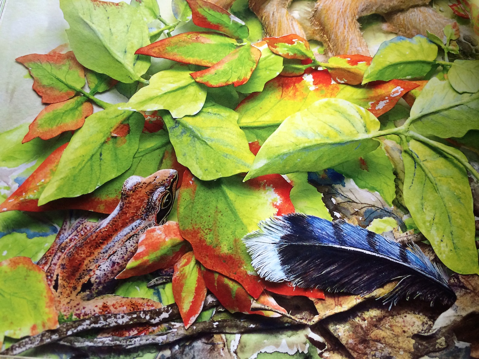 leaflets three, let it be robin brickman illustrations