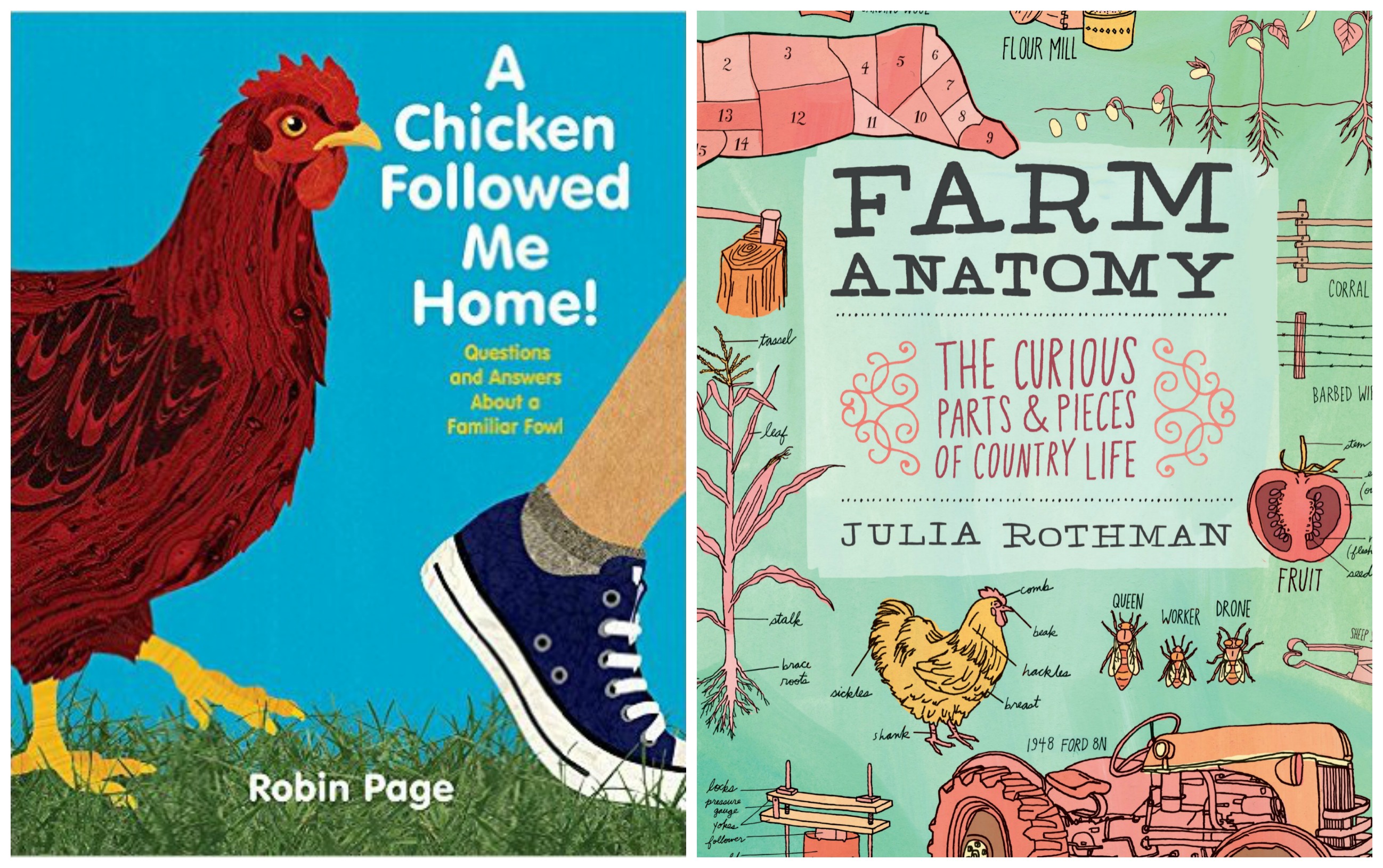 Books About Chickens