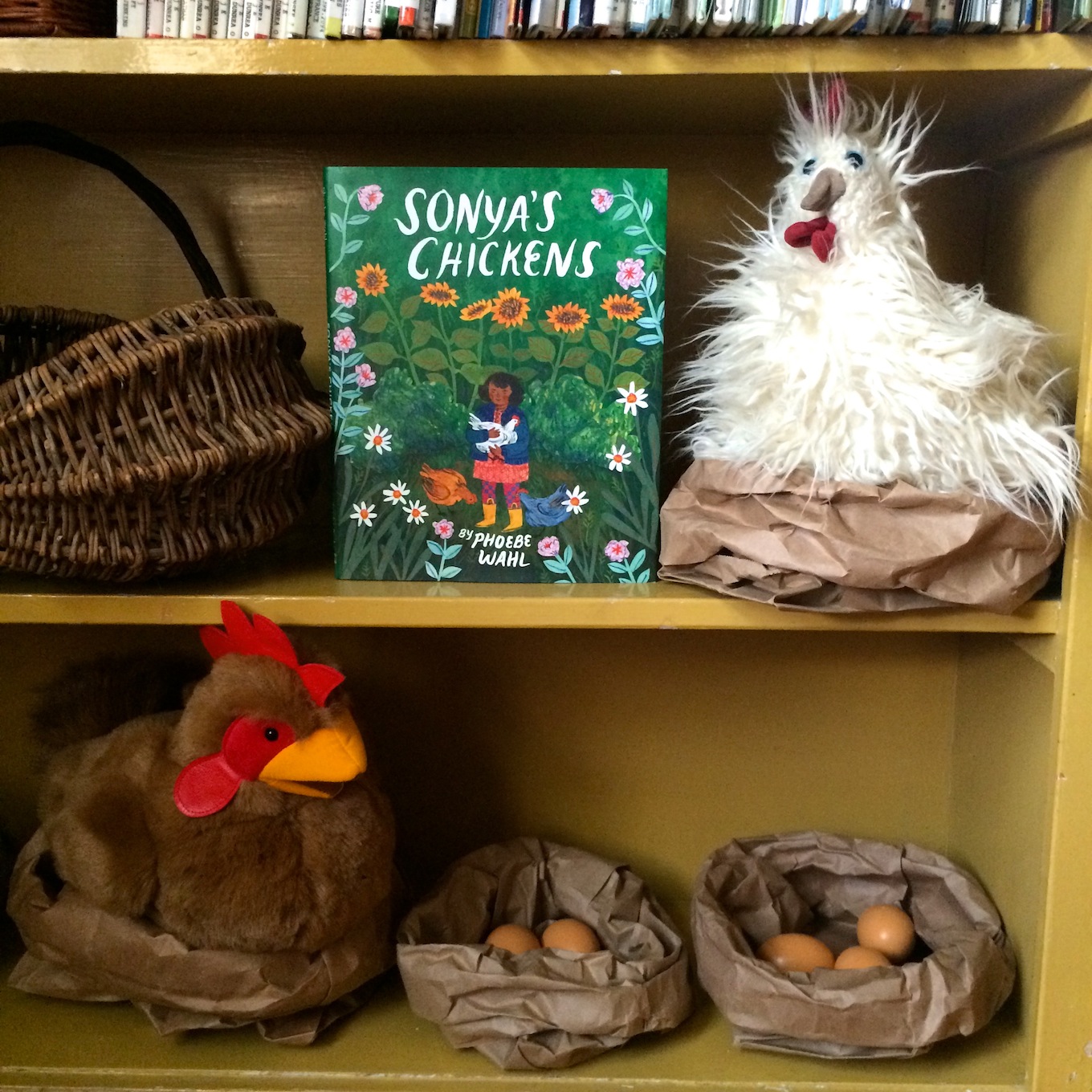 Sonya's Chickens Activity