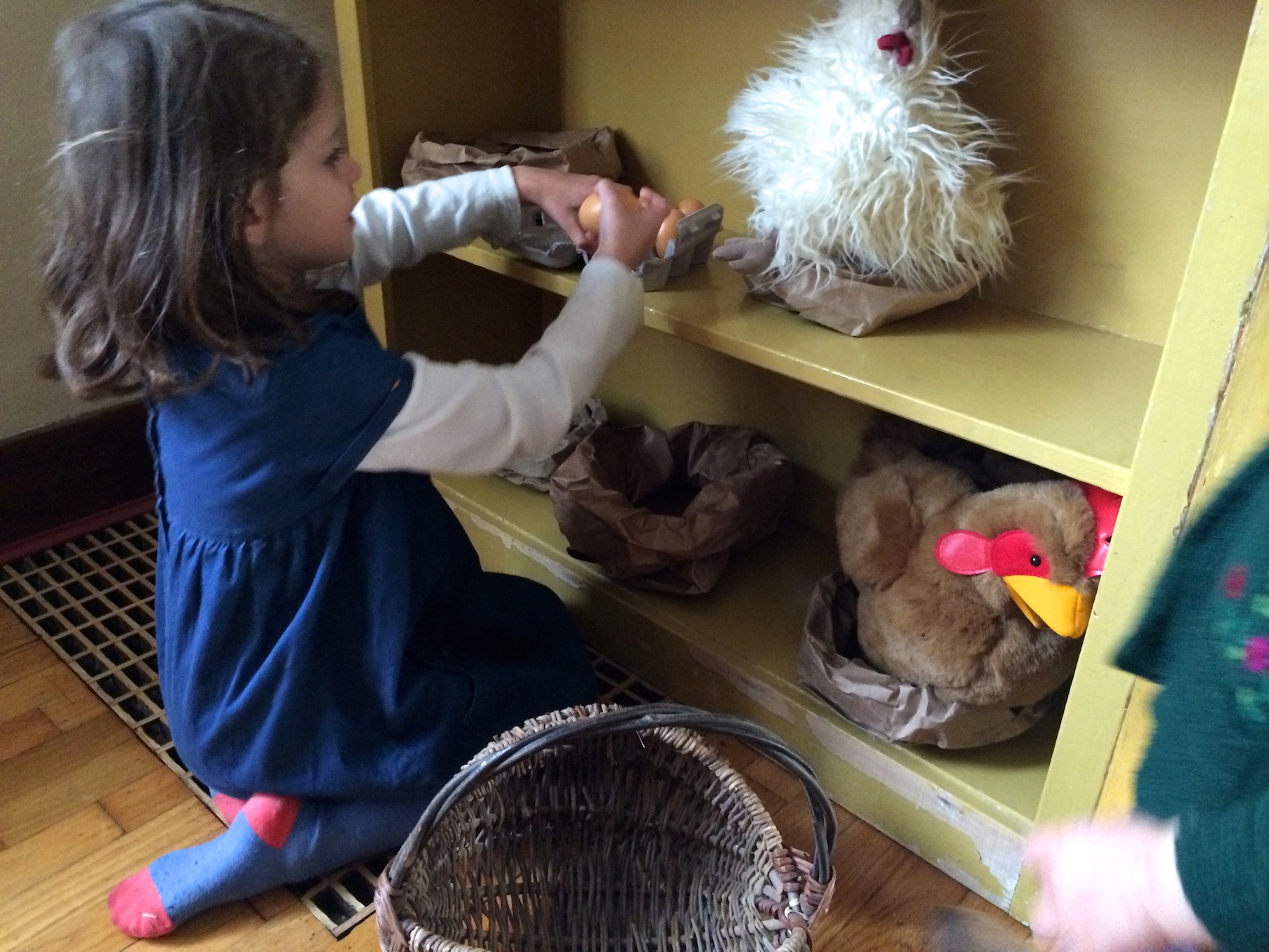 chicken activity