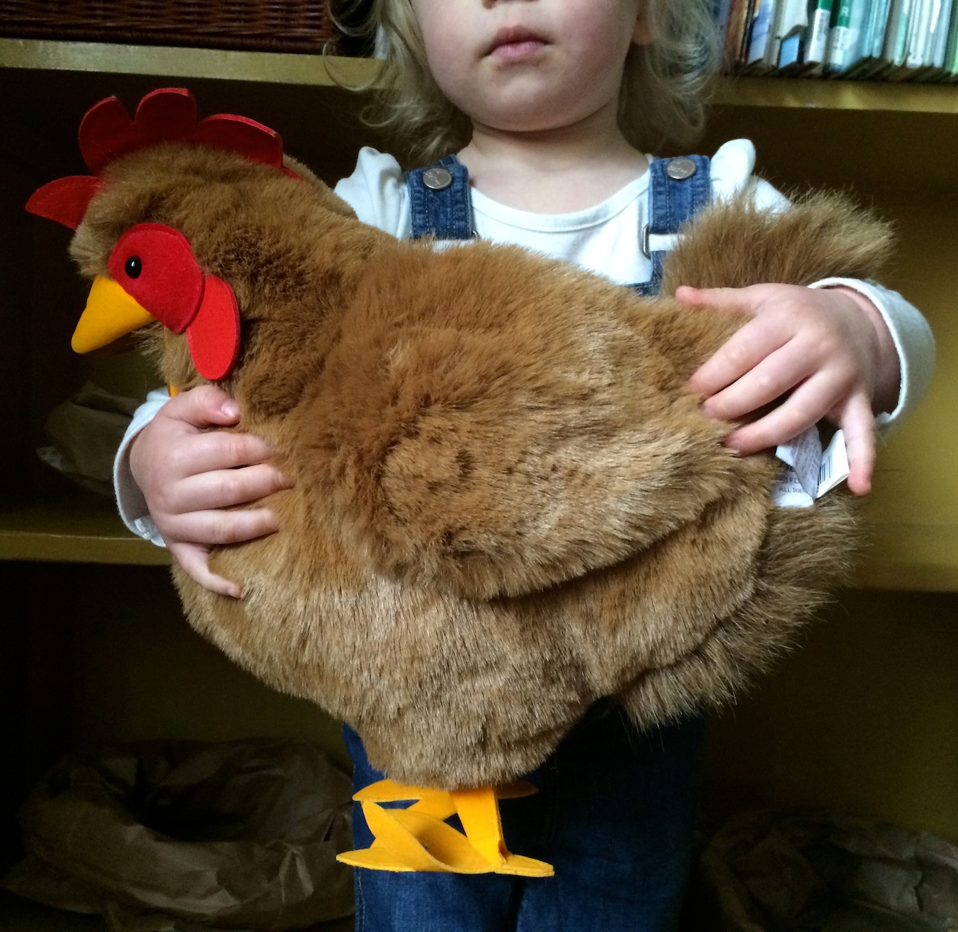 chicken coop pretend play 7