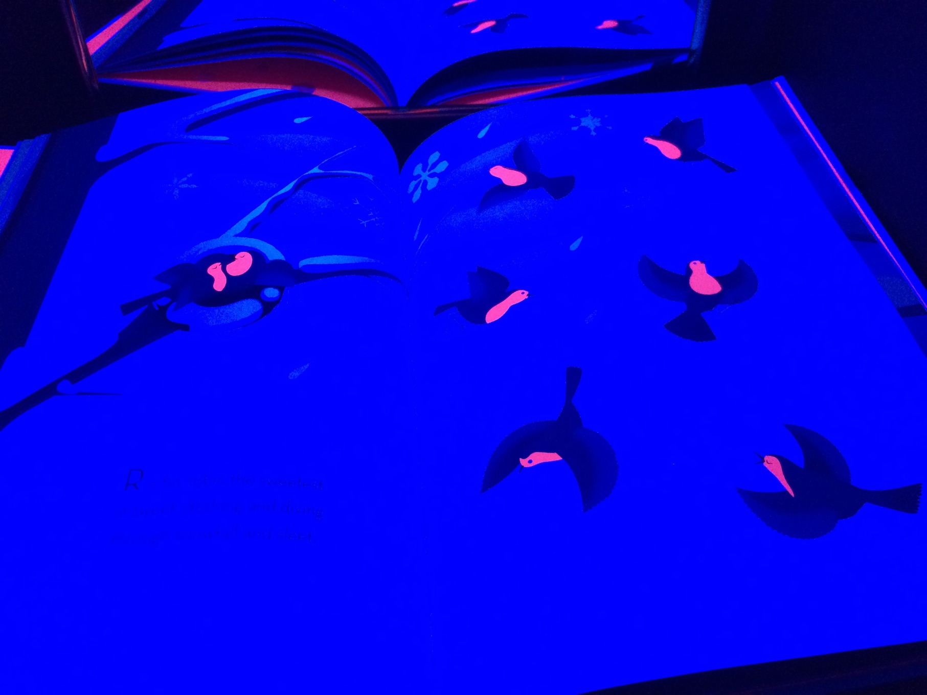 Beautiful Birds - Glowing Books for the Black Light Booth
