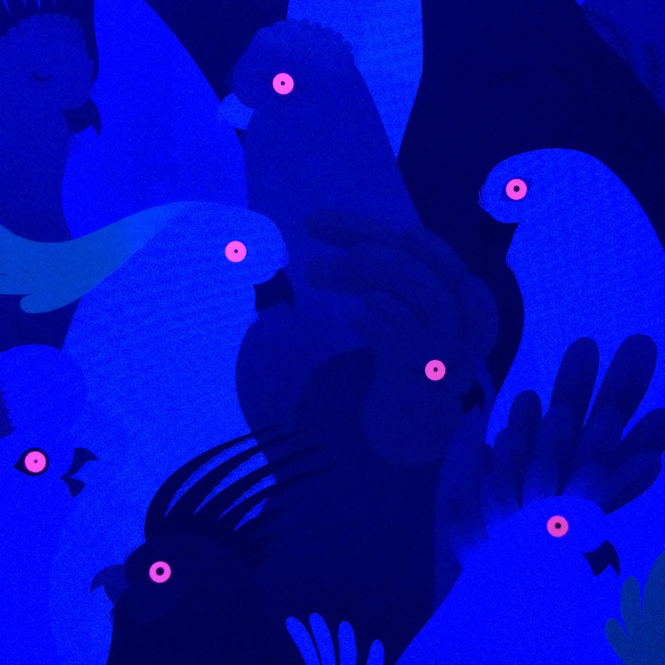 Beautiful Birds by J. Roussen and E. Walker under black light