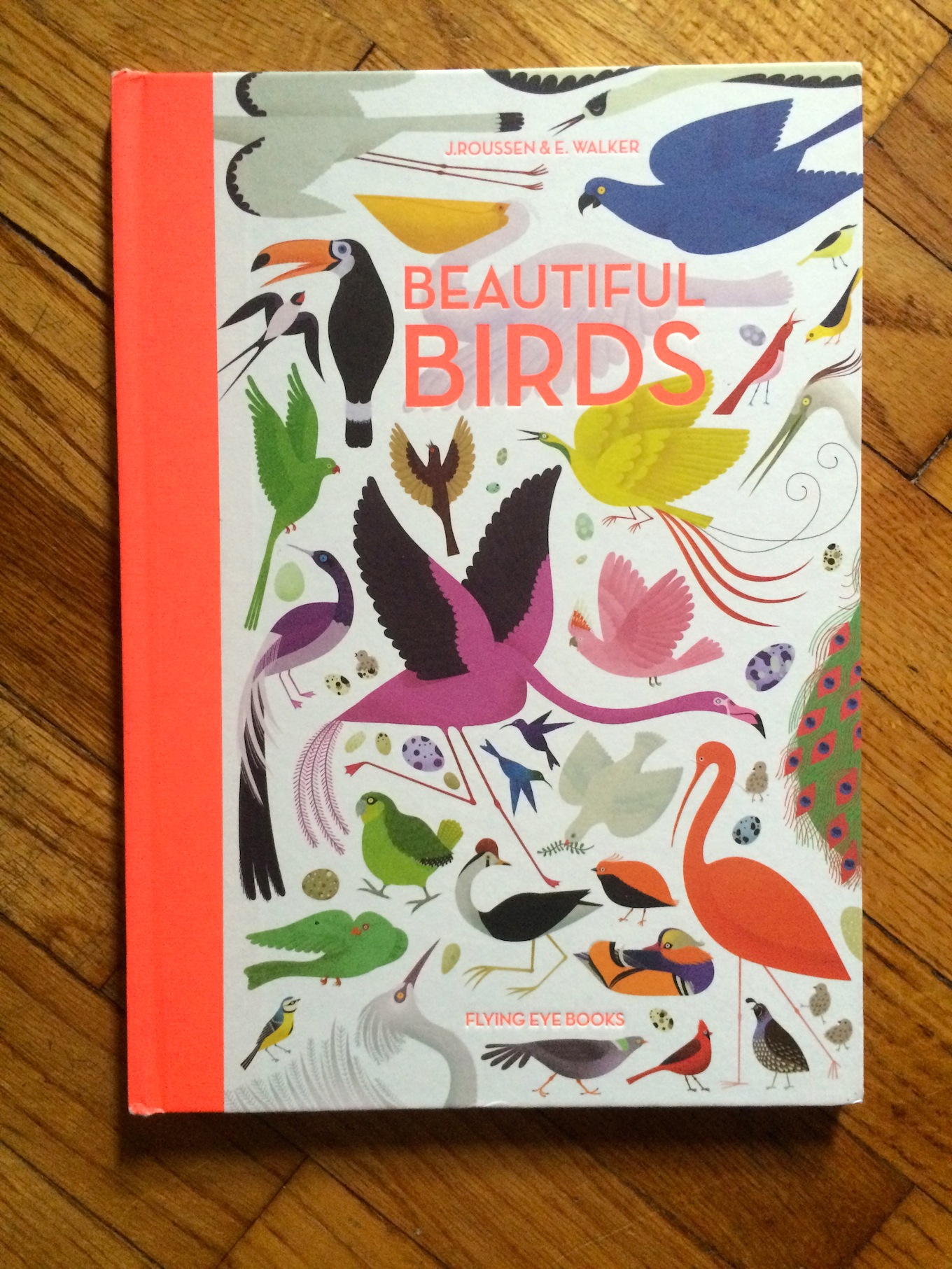 Beautiful Birds