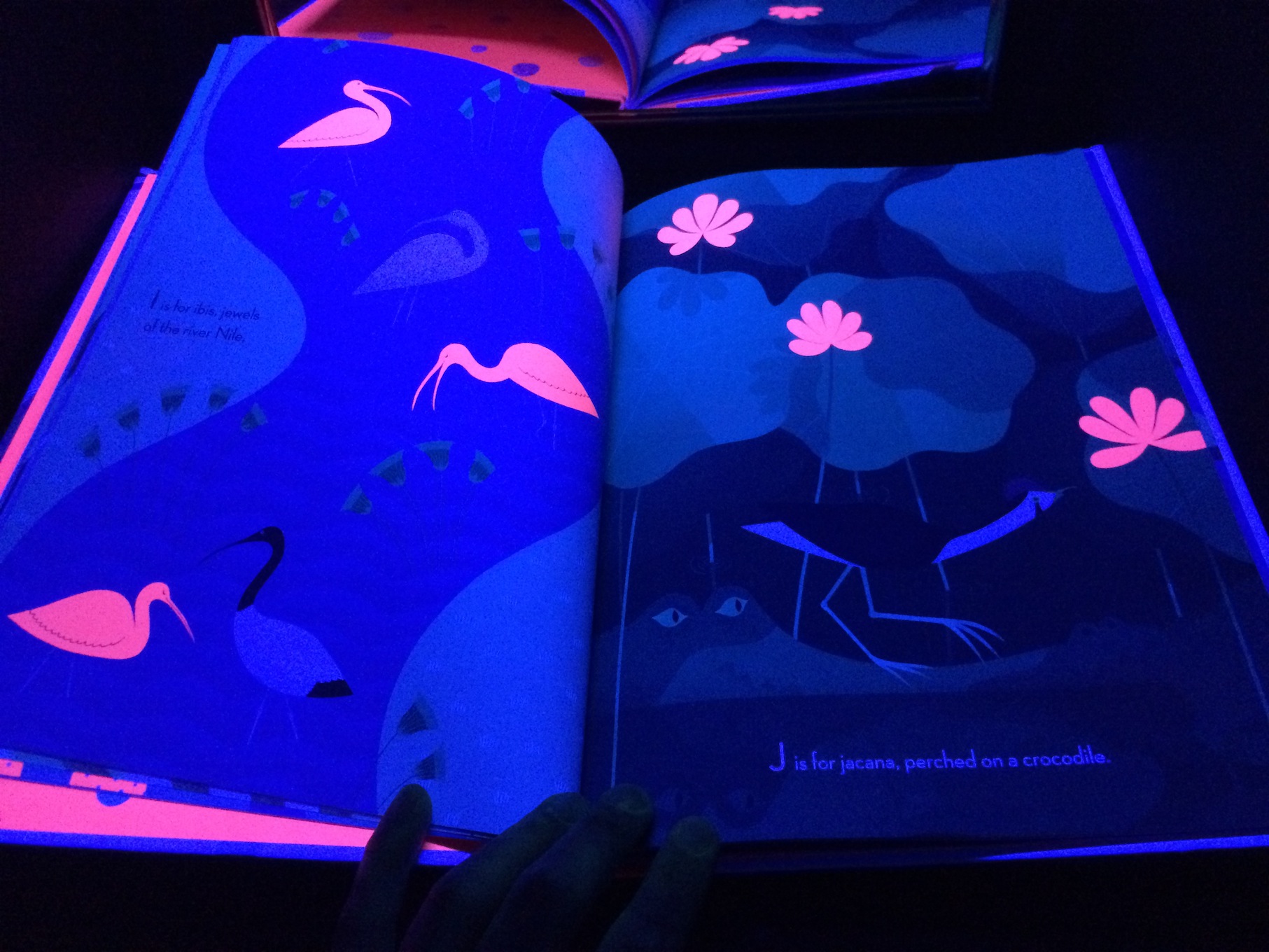 Books to explore under black light - We usually use our DIY Black Light Booth for art and light play, but lately it's been a great provocation to explore books!
