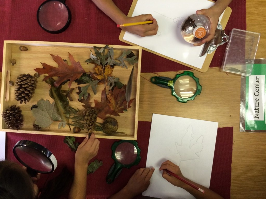 Connecting Young Children to Nature in the Library