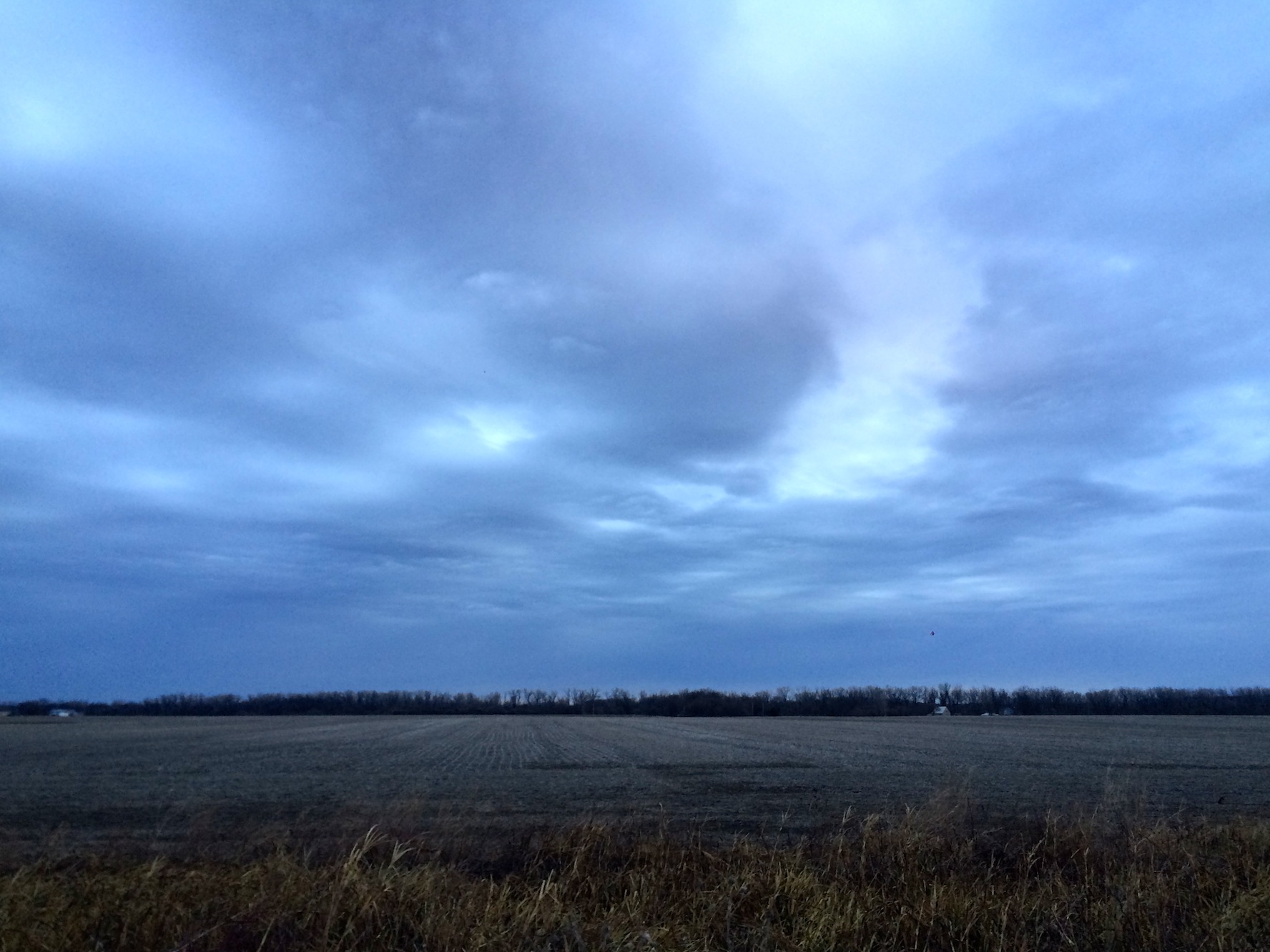 Dark Dawn - SfCT