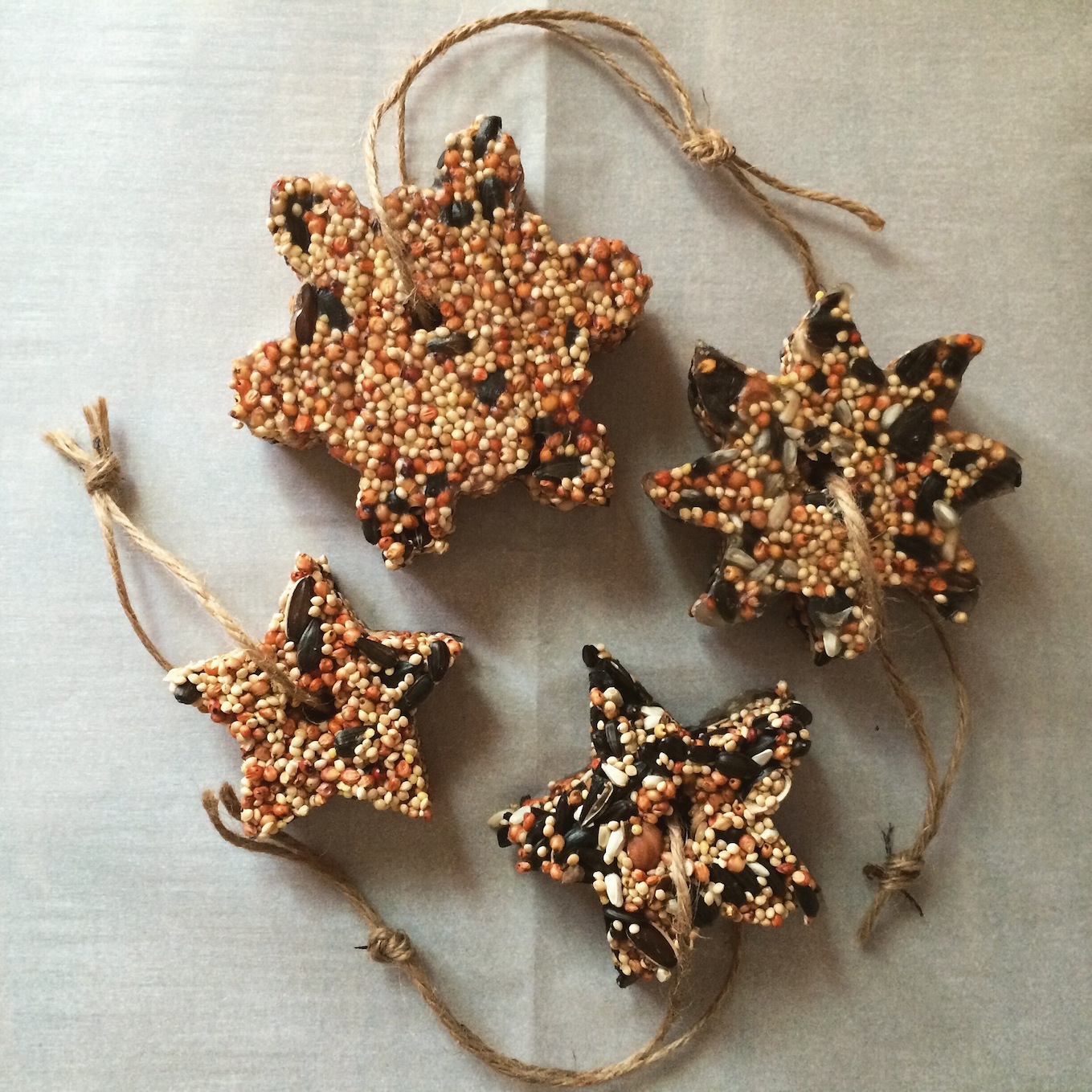 Homemade Cookie Cutter Bird Feeders