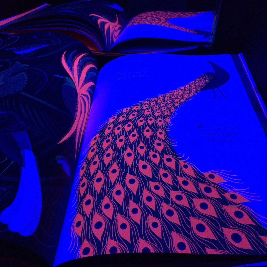 In the past, we've used the black light booth for light play or art projects, but lately it has been an enchanting way to explore books