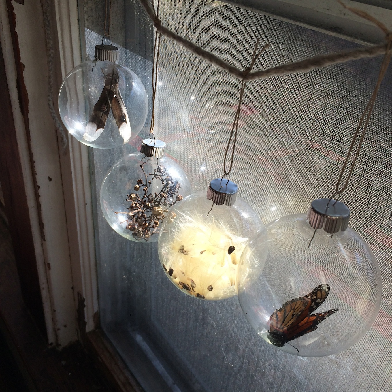 Nature Orbs - Foraging items from outside to display at home. This is a fun activity when the months are cold and you need some nature inspiration for the winter months