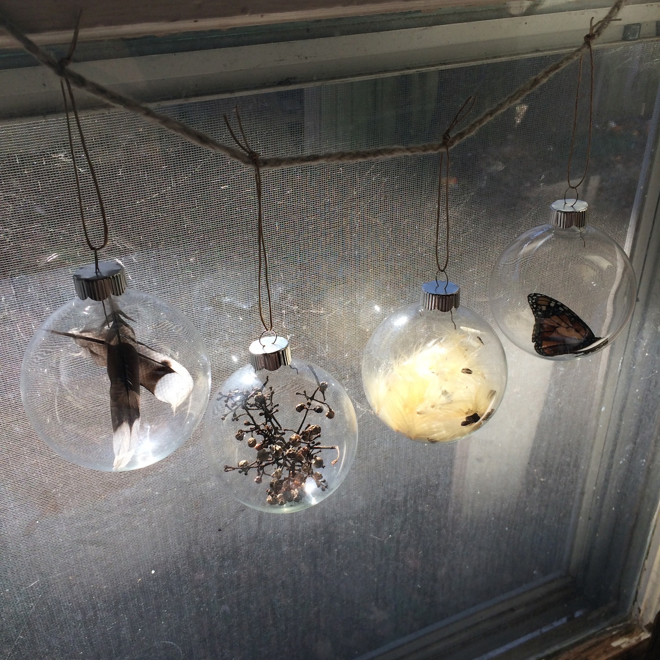 Nature Orbs Provocation
