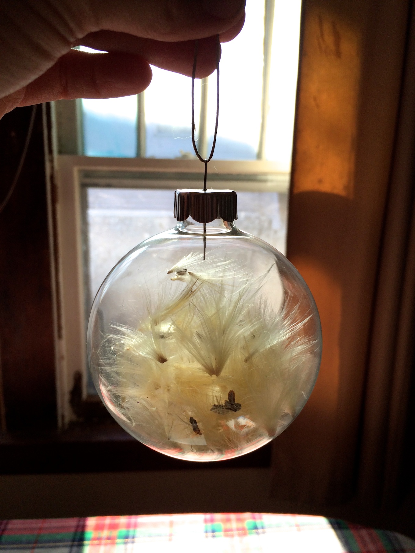 Nature Ornament