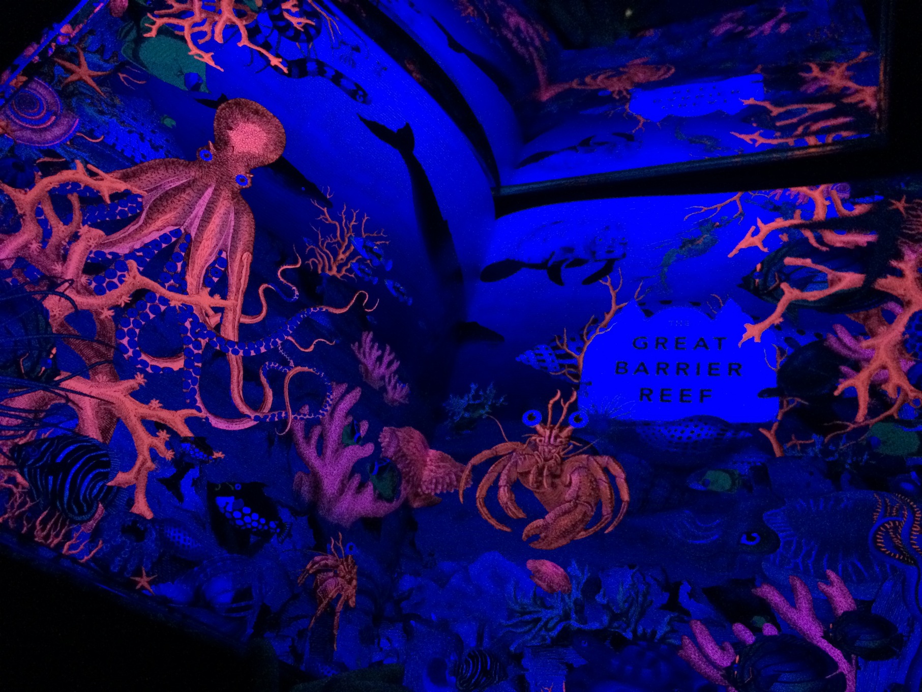Neons and Glow-in-the-Dark Children's Books - Glowing Books for the Black Light Booth