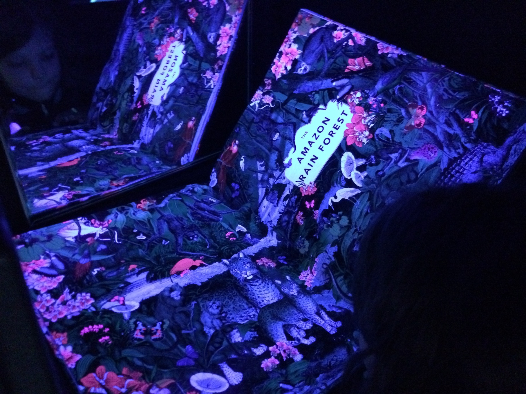 Reading The Wonder Garden in our DIY Black Light Booth - A unique way for kids to explore light, color, and booksJPG