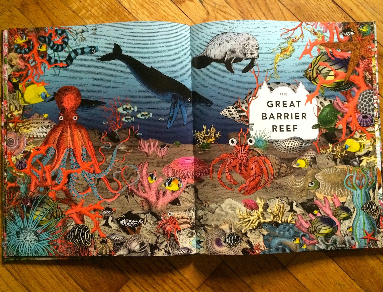 The Great Barrier Reef - The Wonder Garden