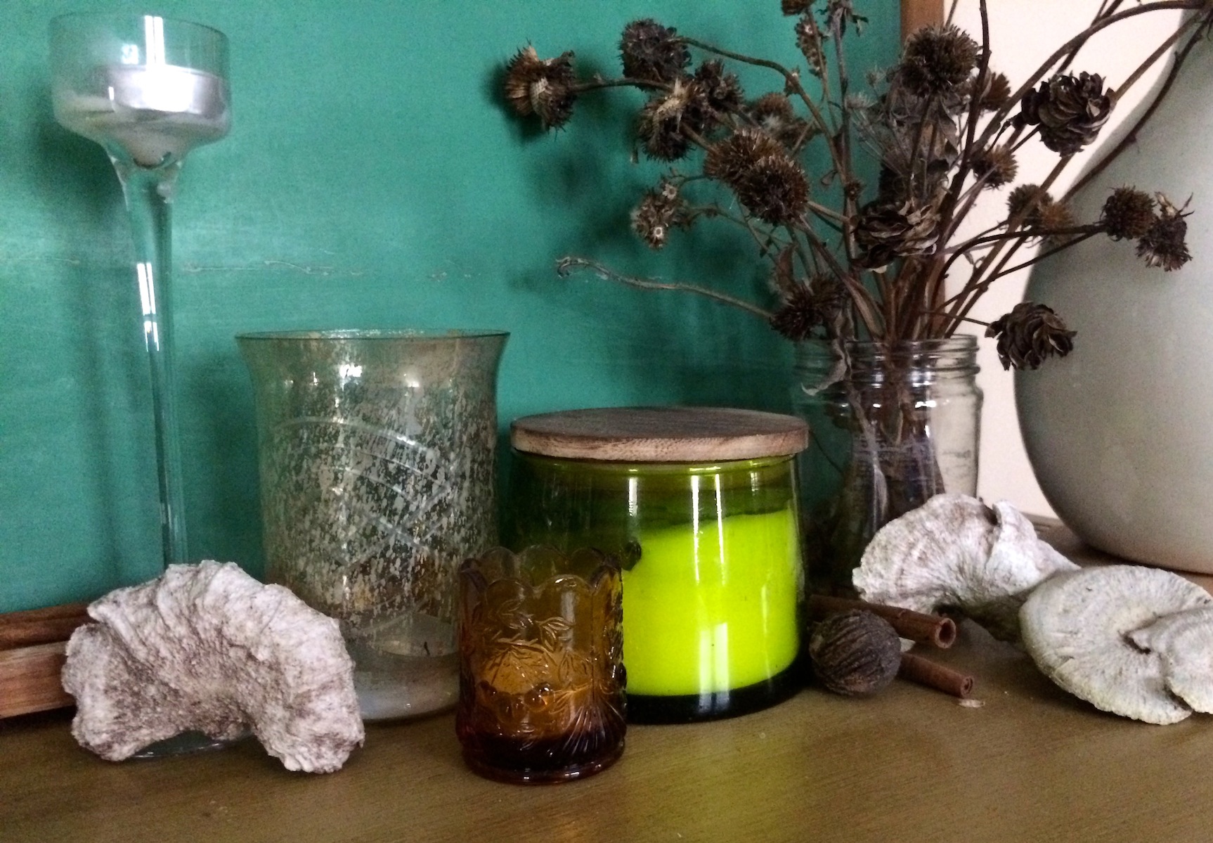 Winter Nature Collection