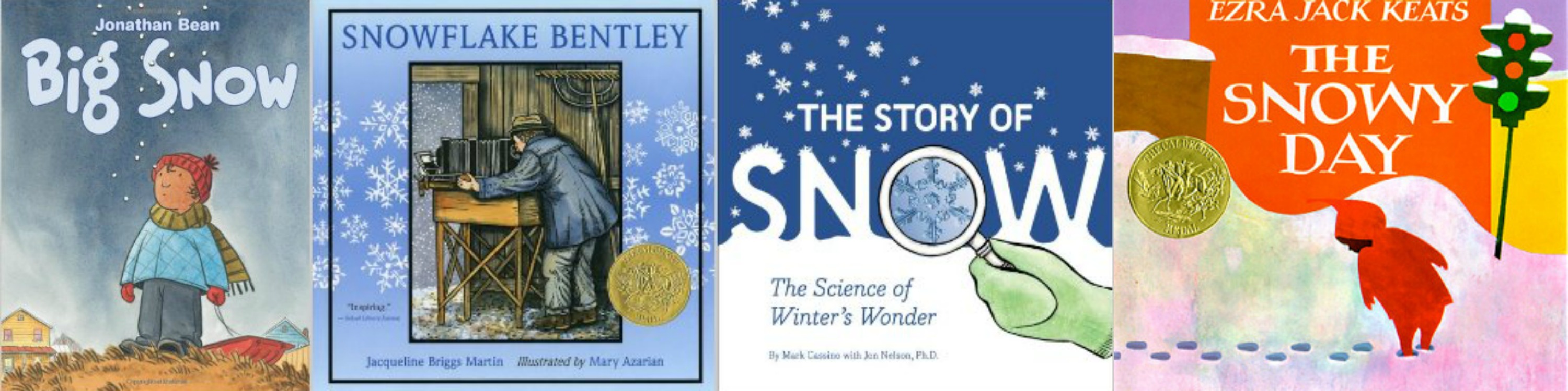 books about snow