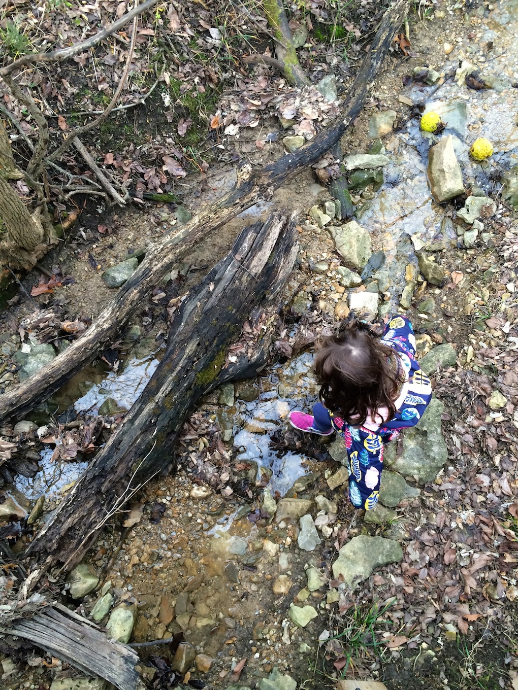 winter solstice nature walk