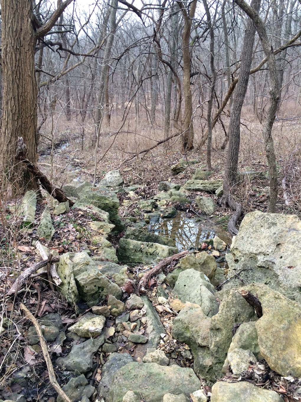 winter solstice walk