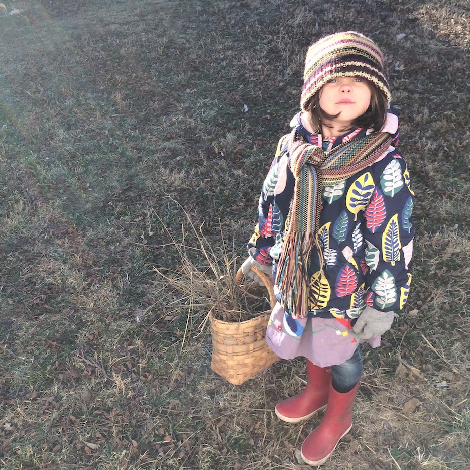 Determined Gatherer