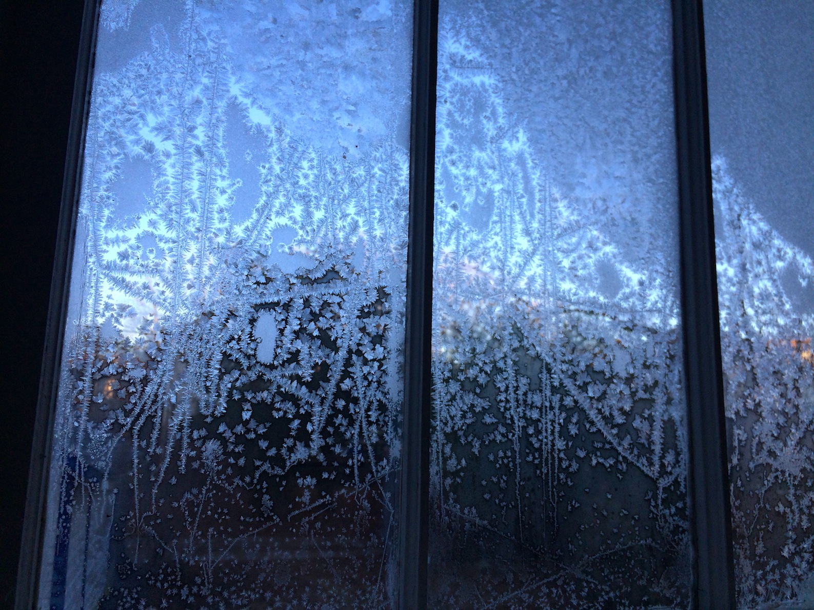 Jack Frost's Paintbrush