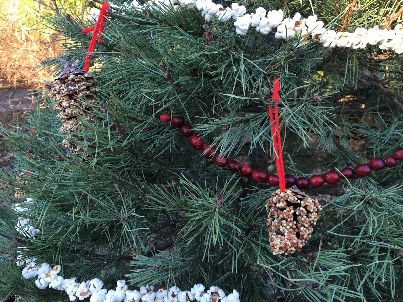 Popcorn and Cranberry Garland