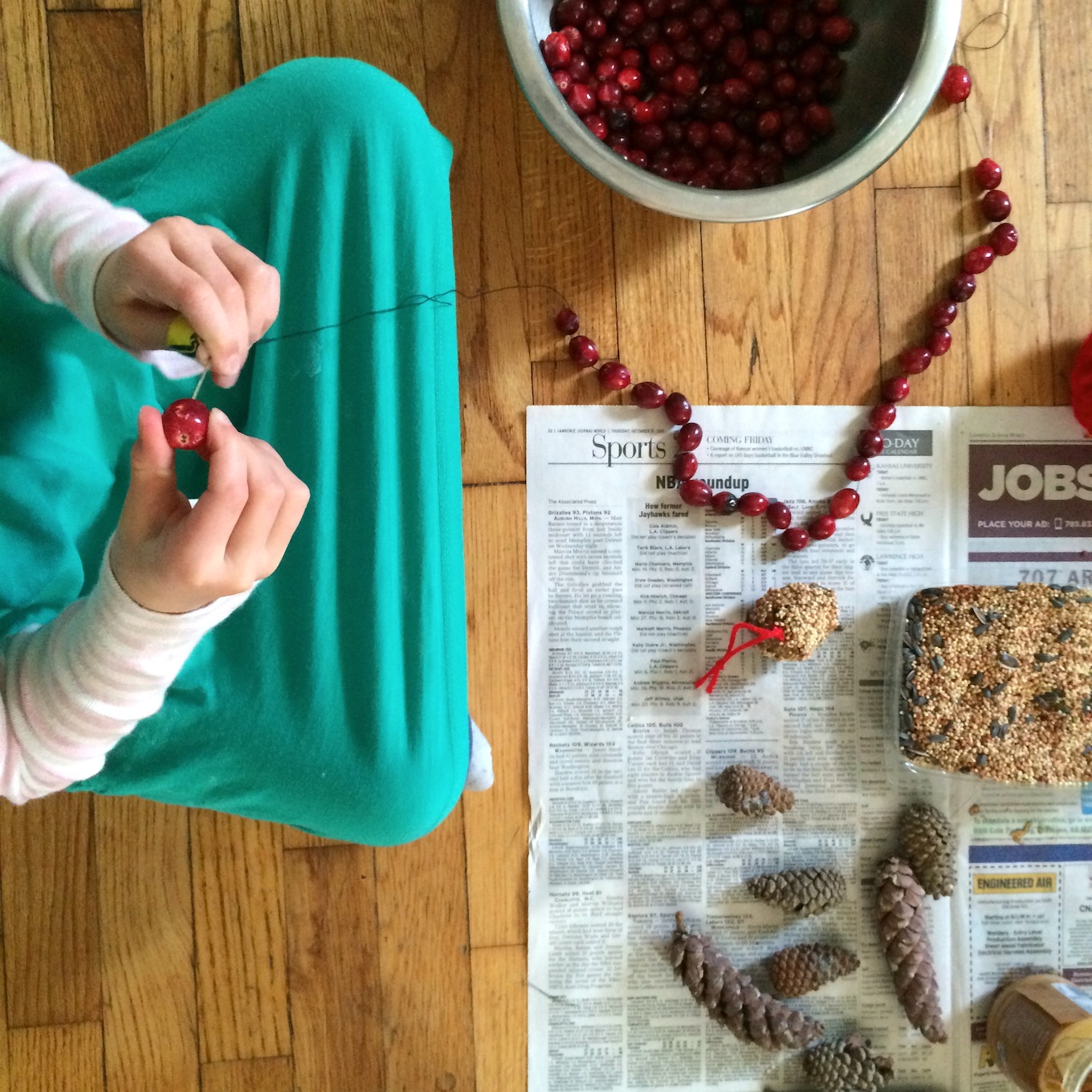 Stringing cranberries for the After-Christmas Tree