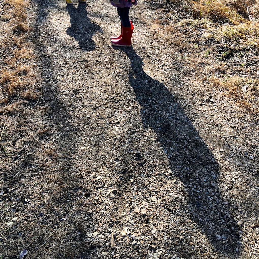 Winter Shadows