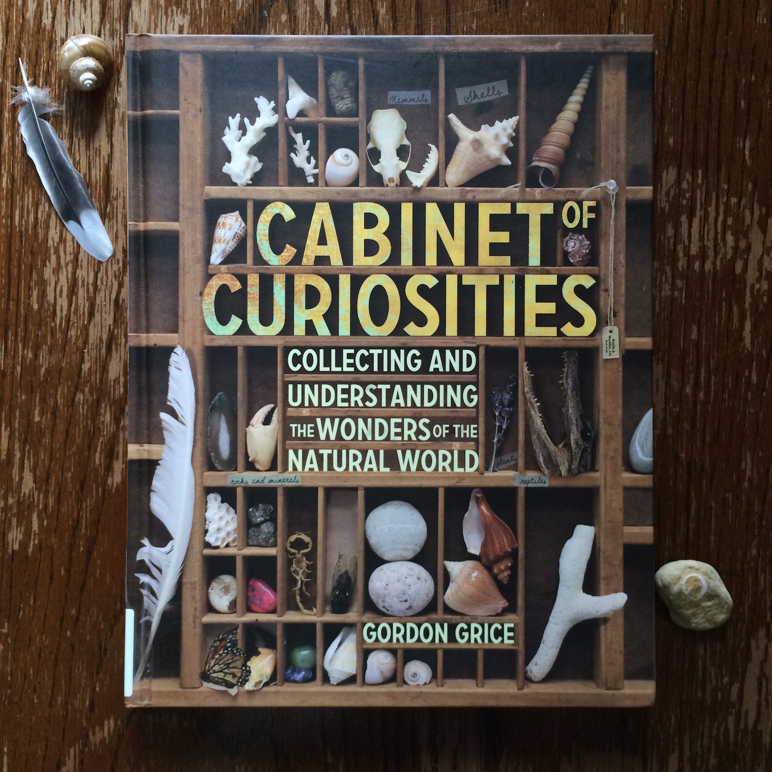 Cabinet of Curiosities Collecting and Understanding the Wonders of the Natural World by Gordon Grice