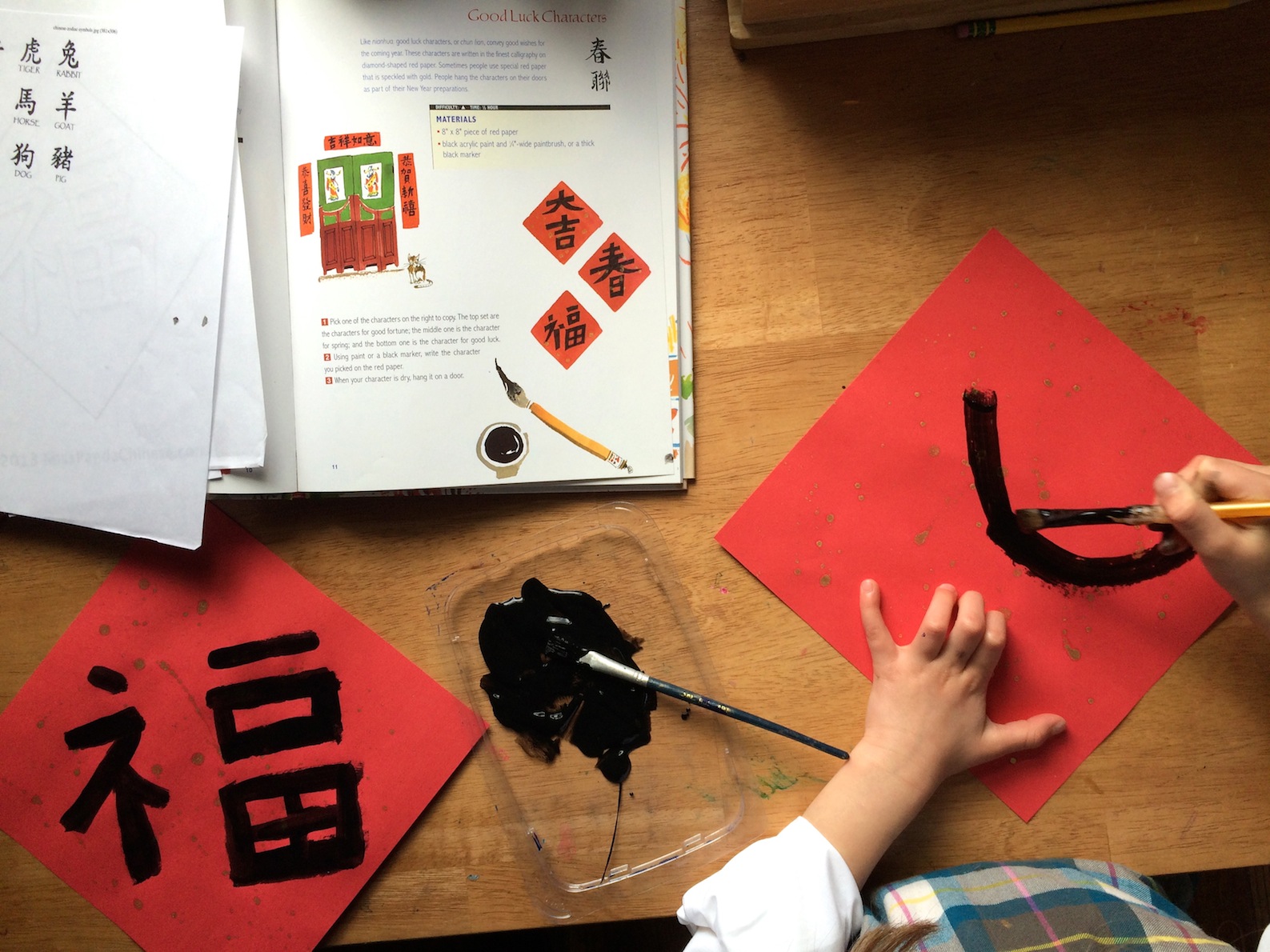 Chinese New Year Good Luck Character Painting