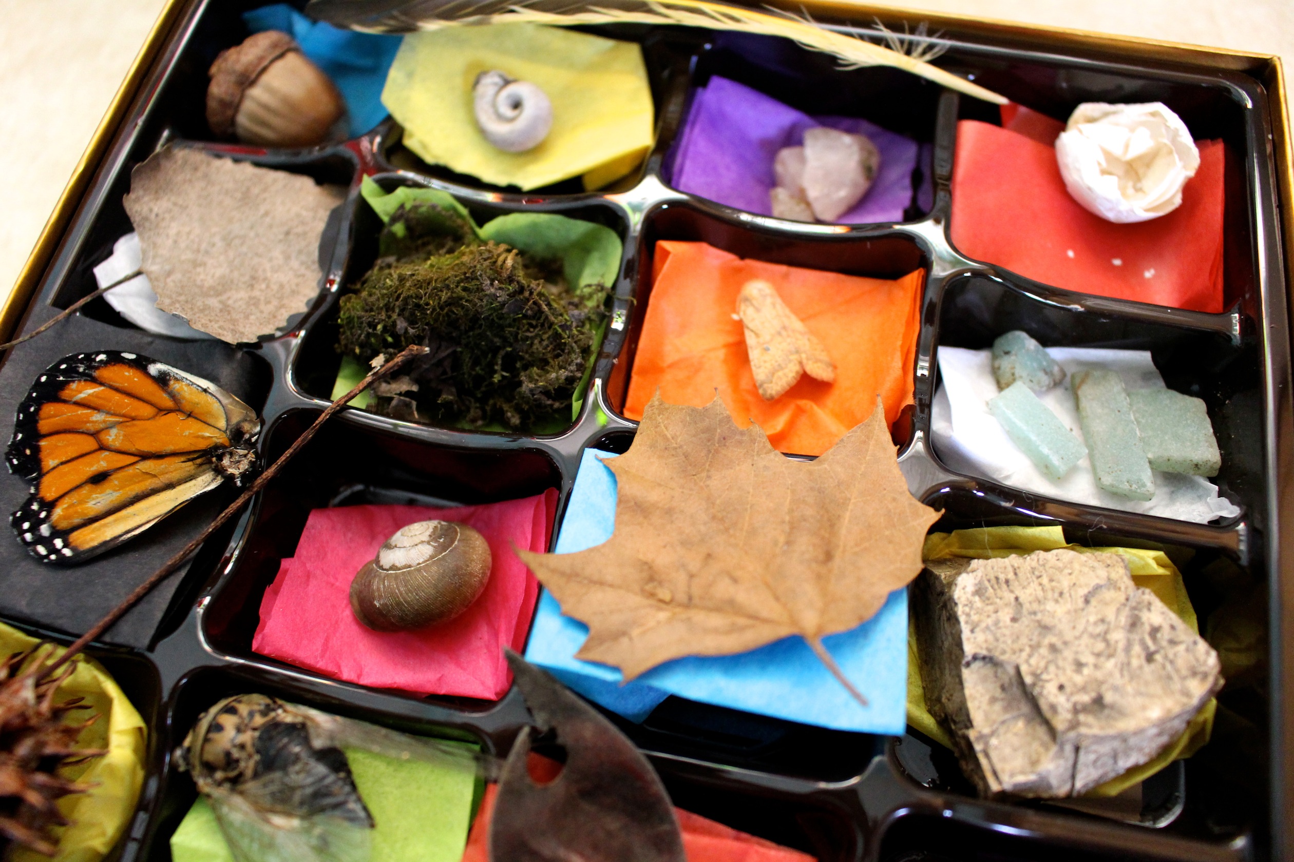 Chocolate Box Nature Collection