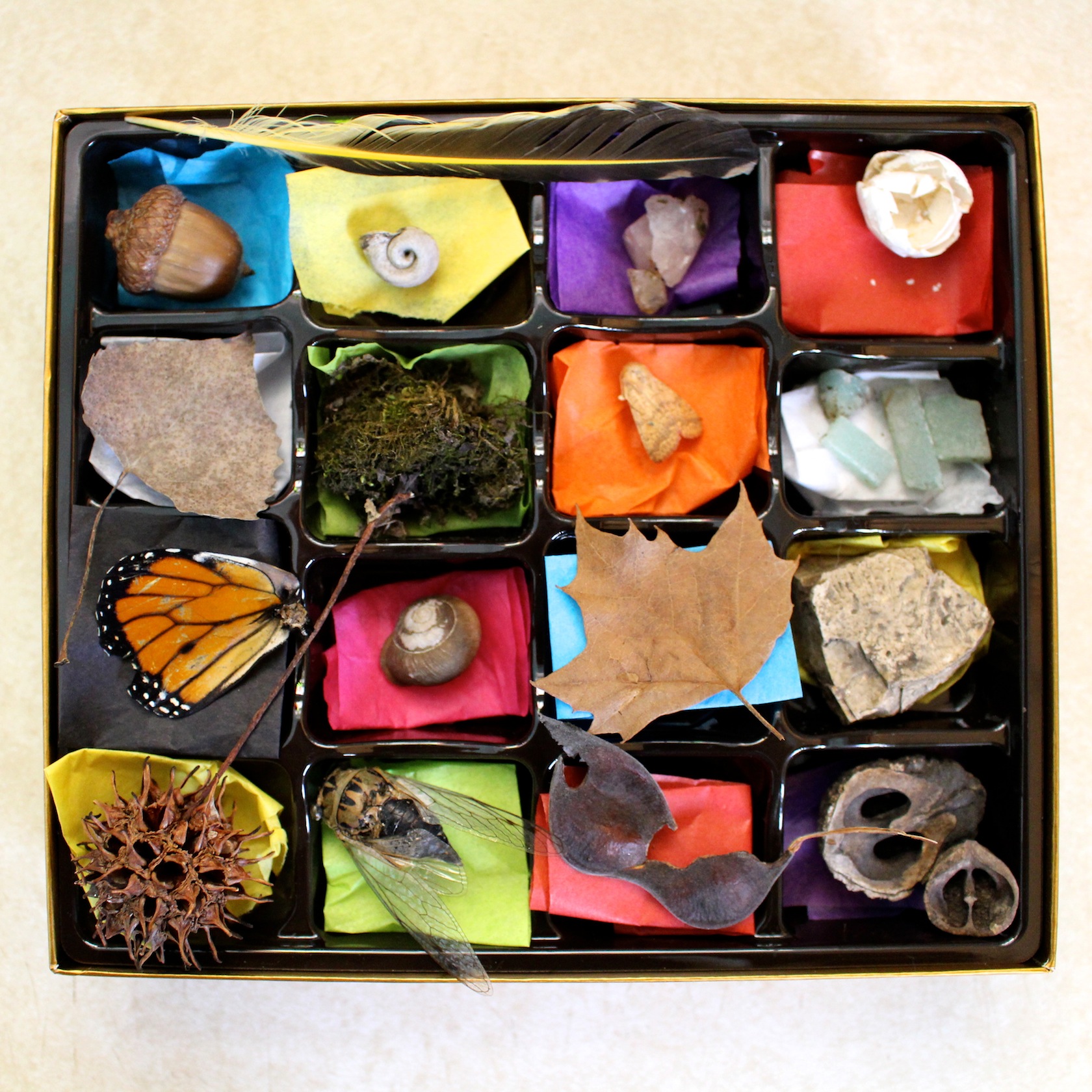 Chocolate Box Nature Collection - Repurpose your a Valentine's Day chocolate box into a minature cabinet of curiousities for kids. Go on a nature walk and fill your box with treasures