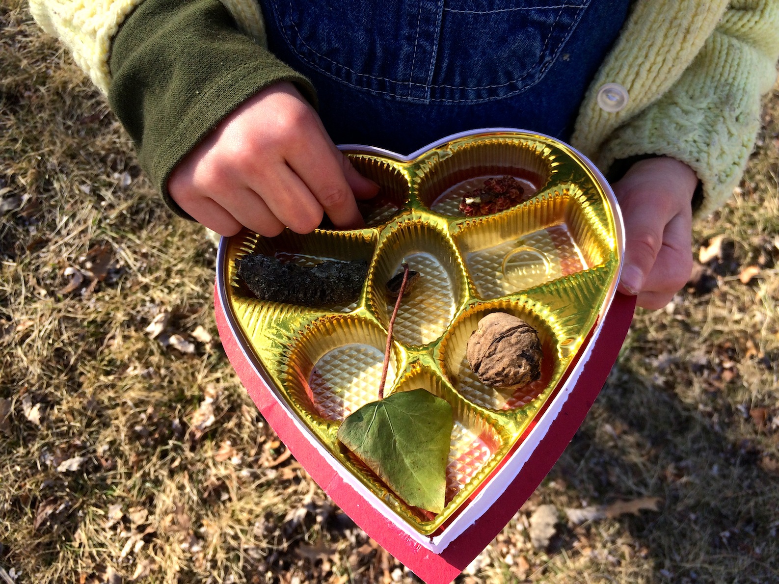 Collecting natural tresures in a repurposed chocolate box - A sweet activity for the great outdoors