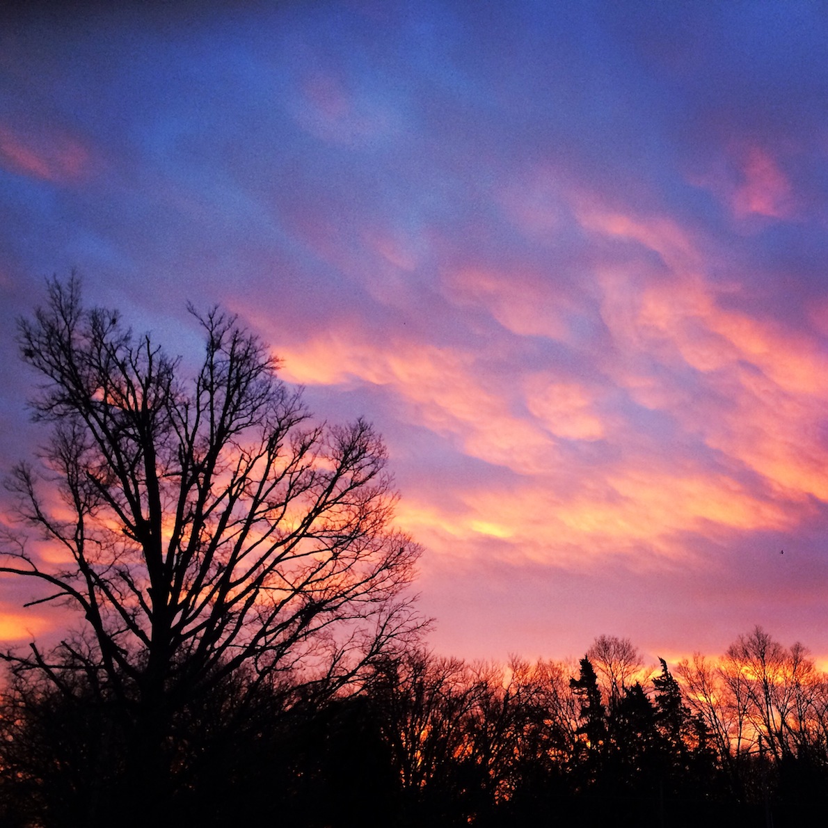 February Skies
