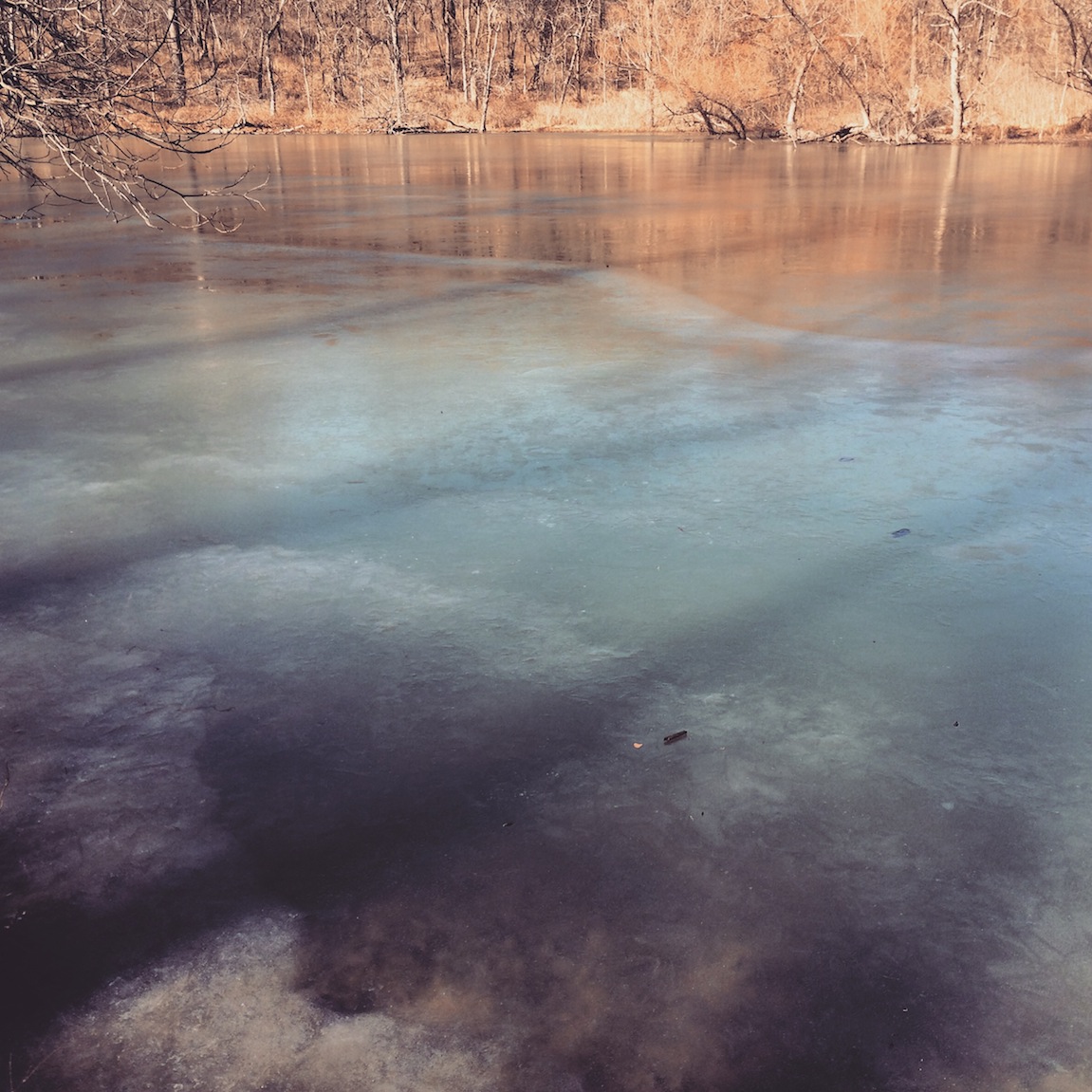 Frozen pond