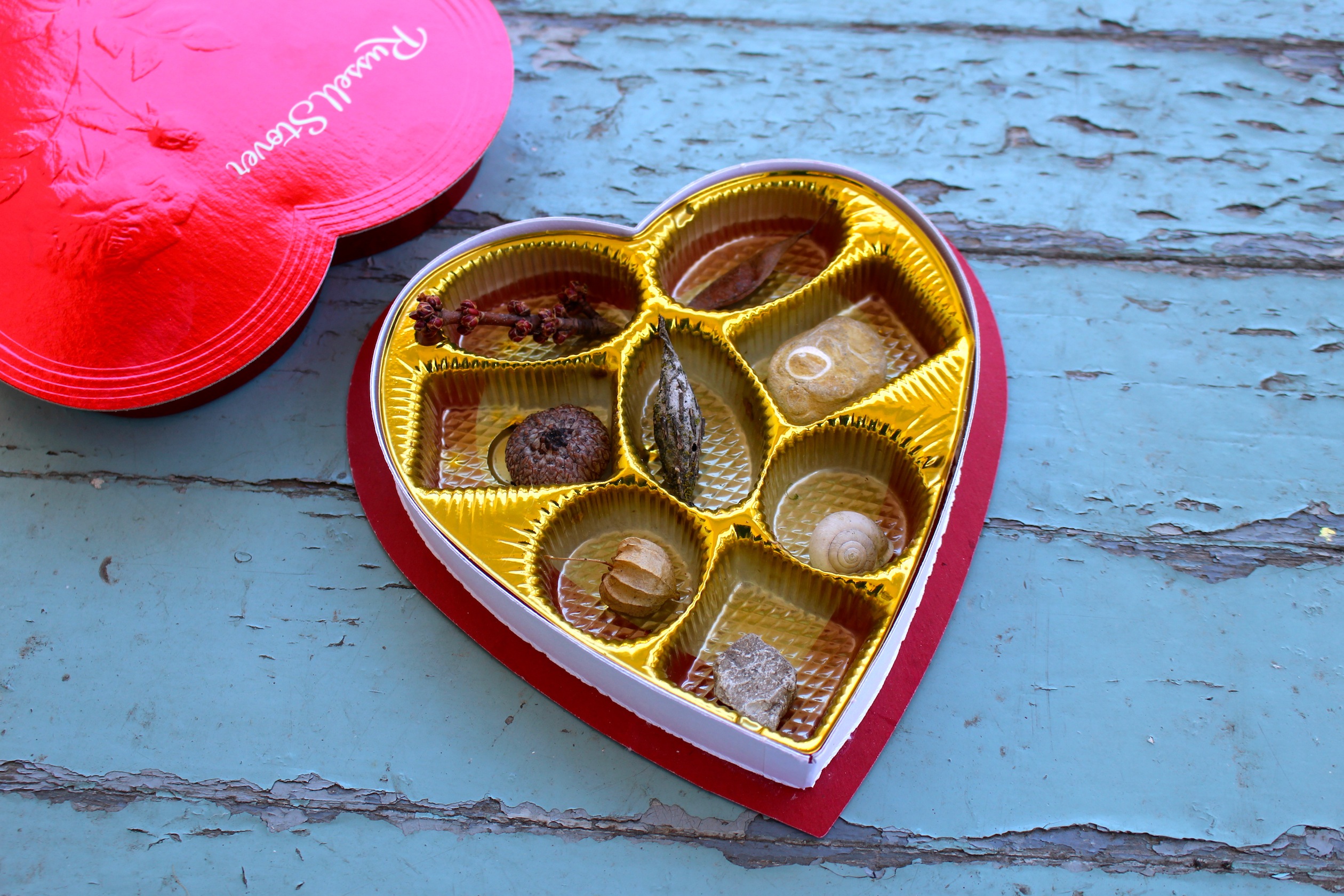 Nothing says 'Be Mine' like rocks and shells! Turn your Valentine's Day chocolate box into a nature collection for kids