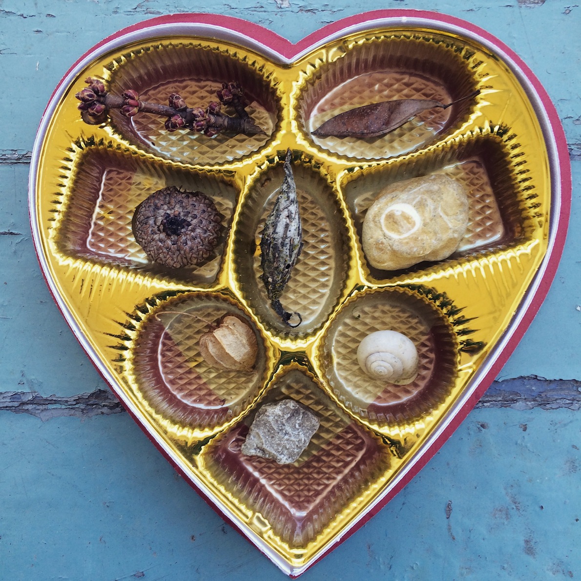 valentine's day nature chocolate box