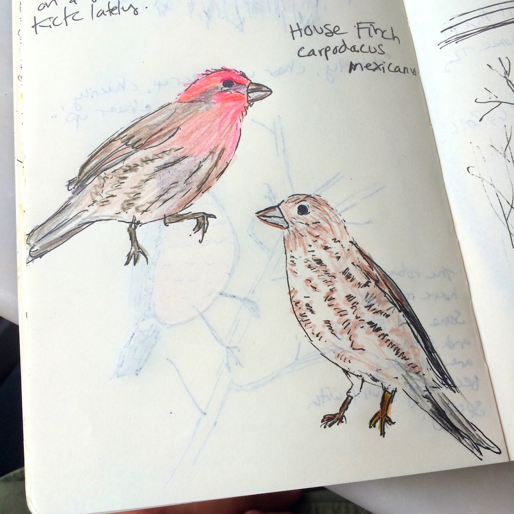 Drawing Front Porch Friends