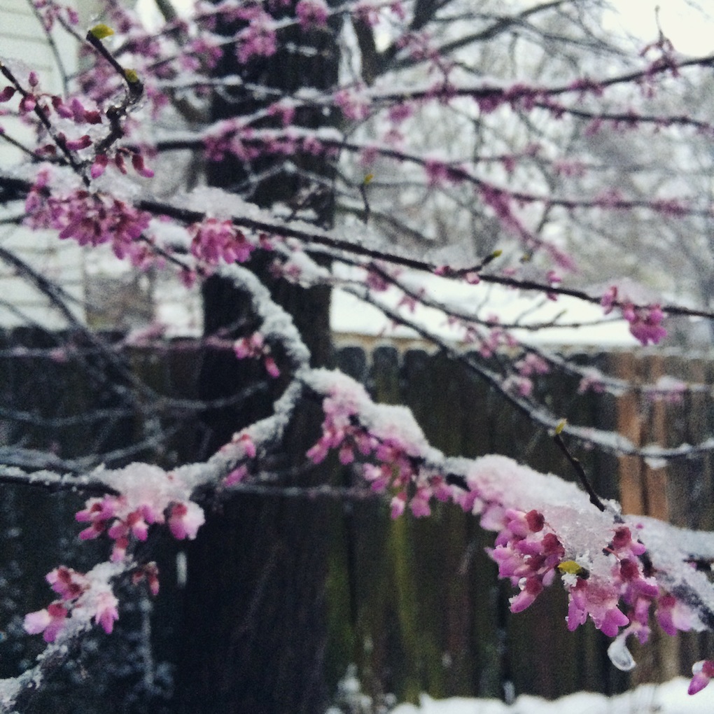 Easter Snow
