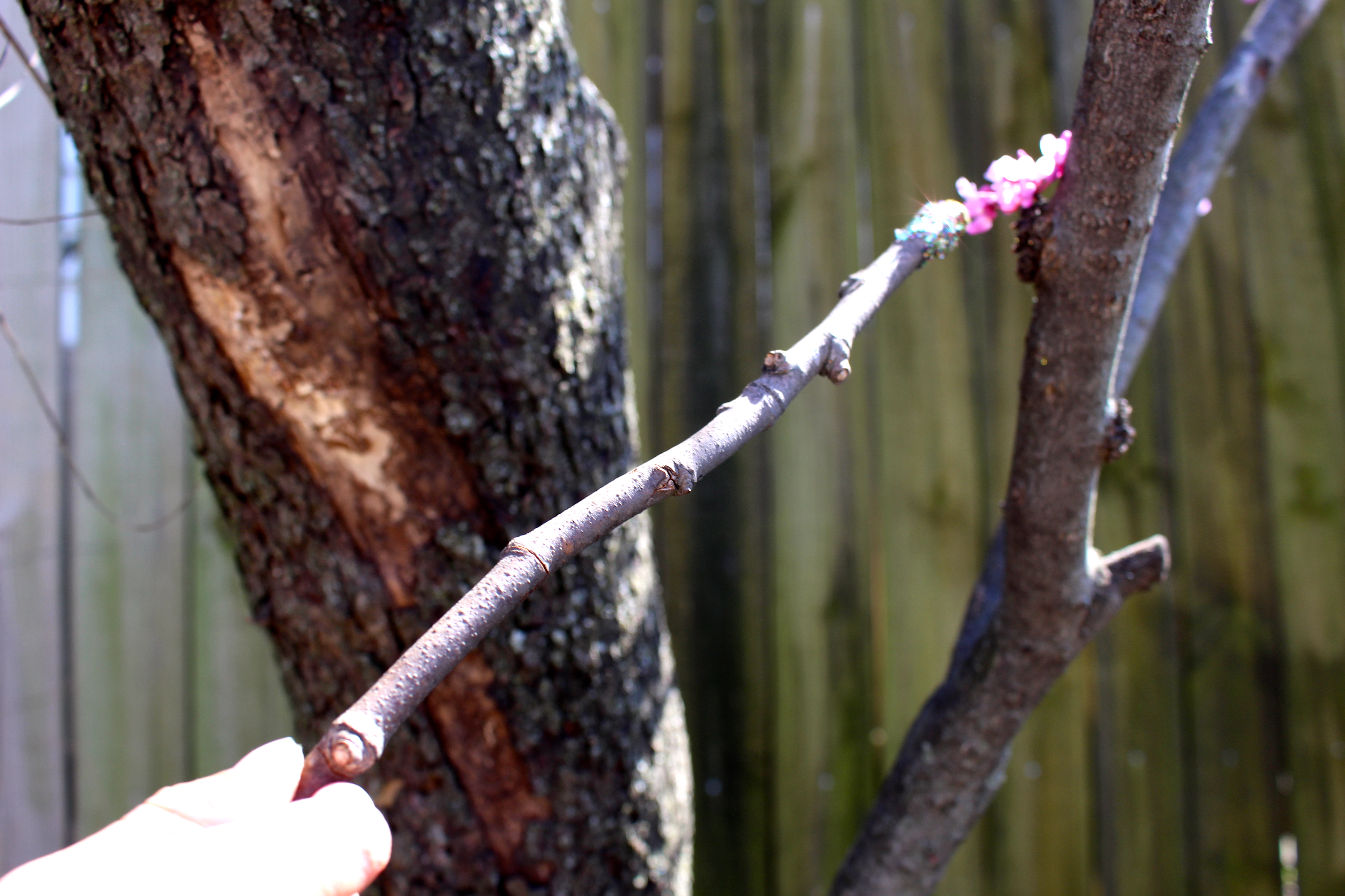 Magic Spring Wand Craft