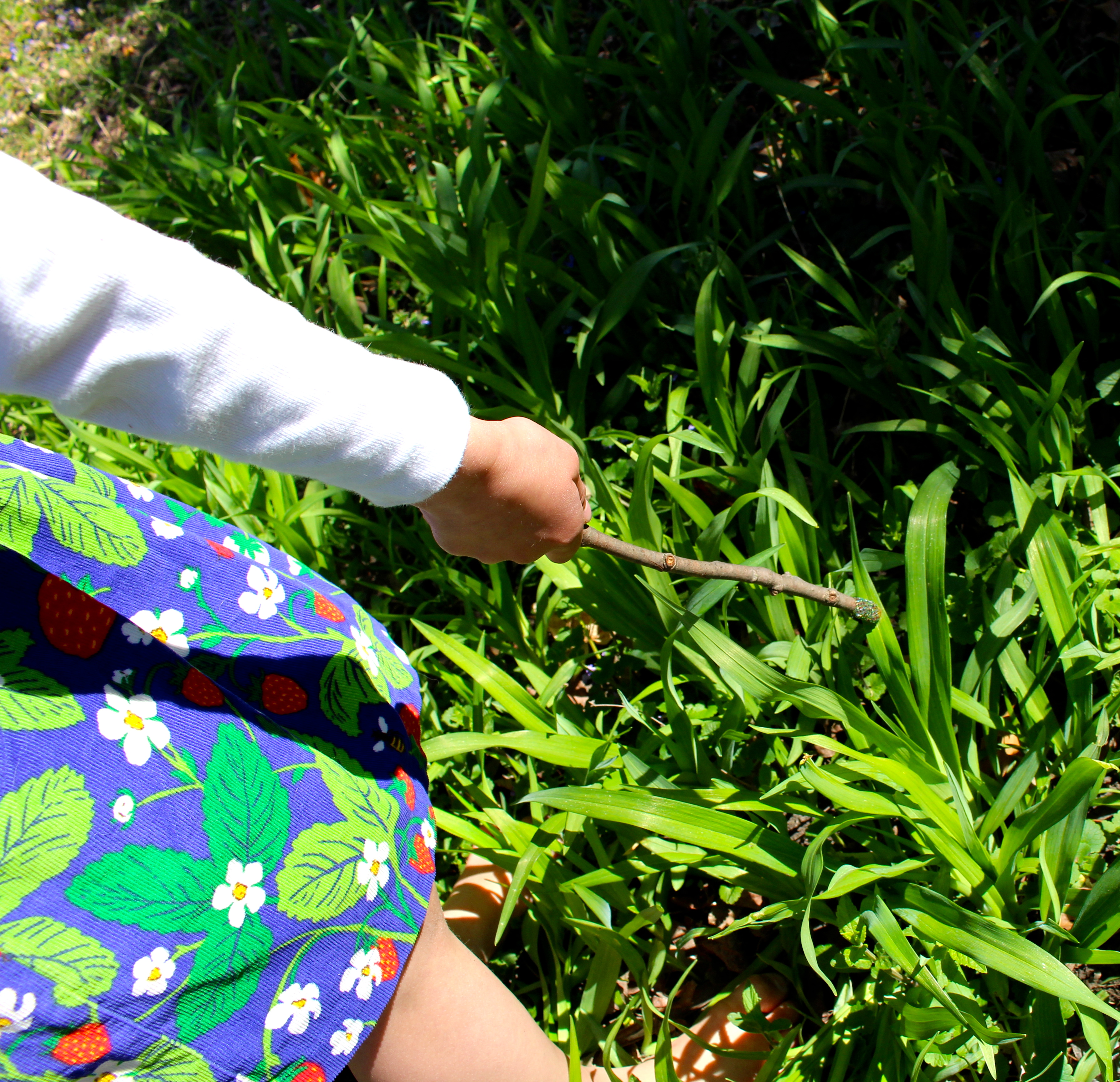Magic Spring Wand