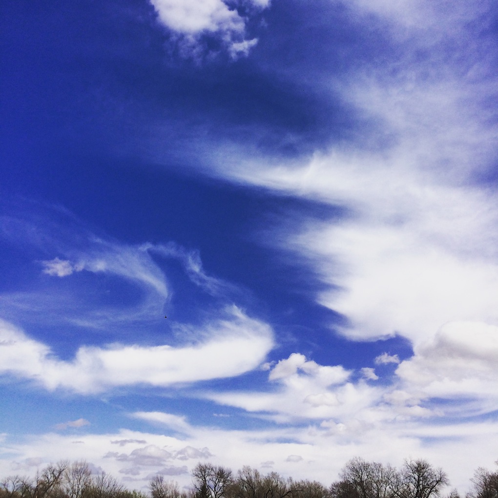 Spring Skies