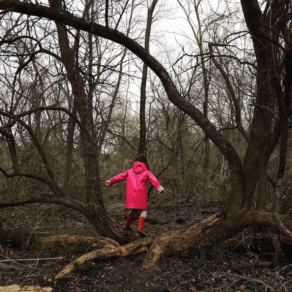 Tree Hopping