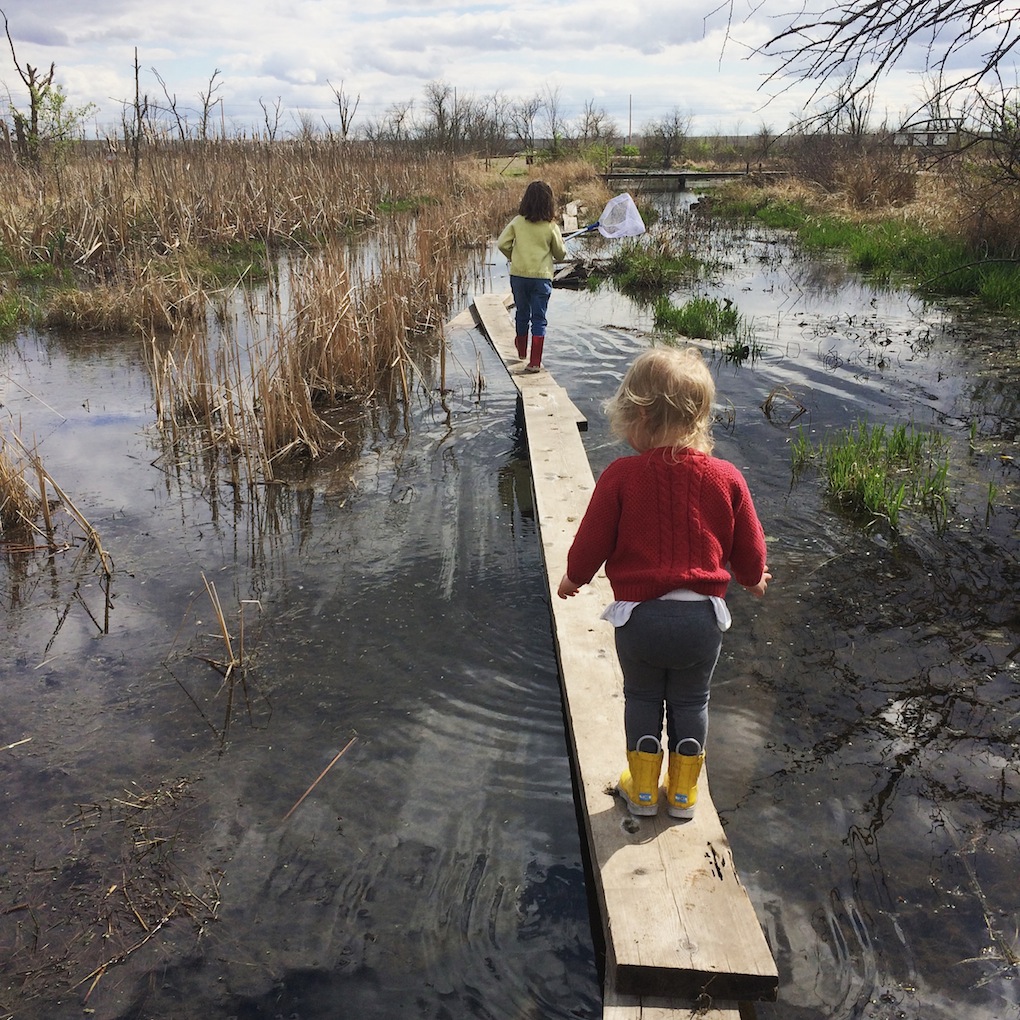 Wetland Walkin'