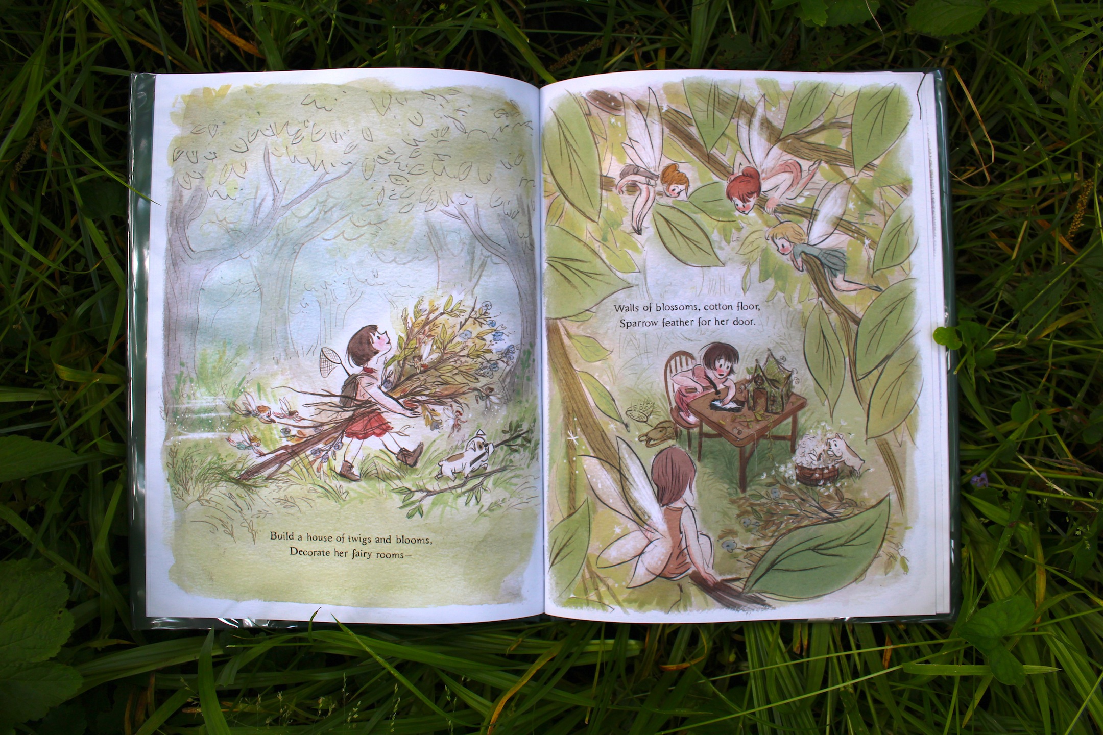 A Fairy Friend by Sue Fliess, illustrated by Claire Keane