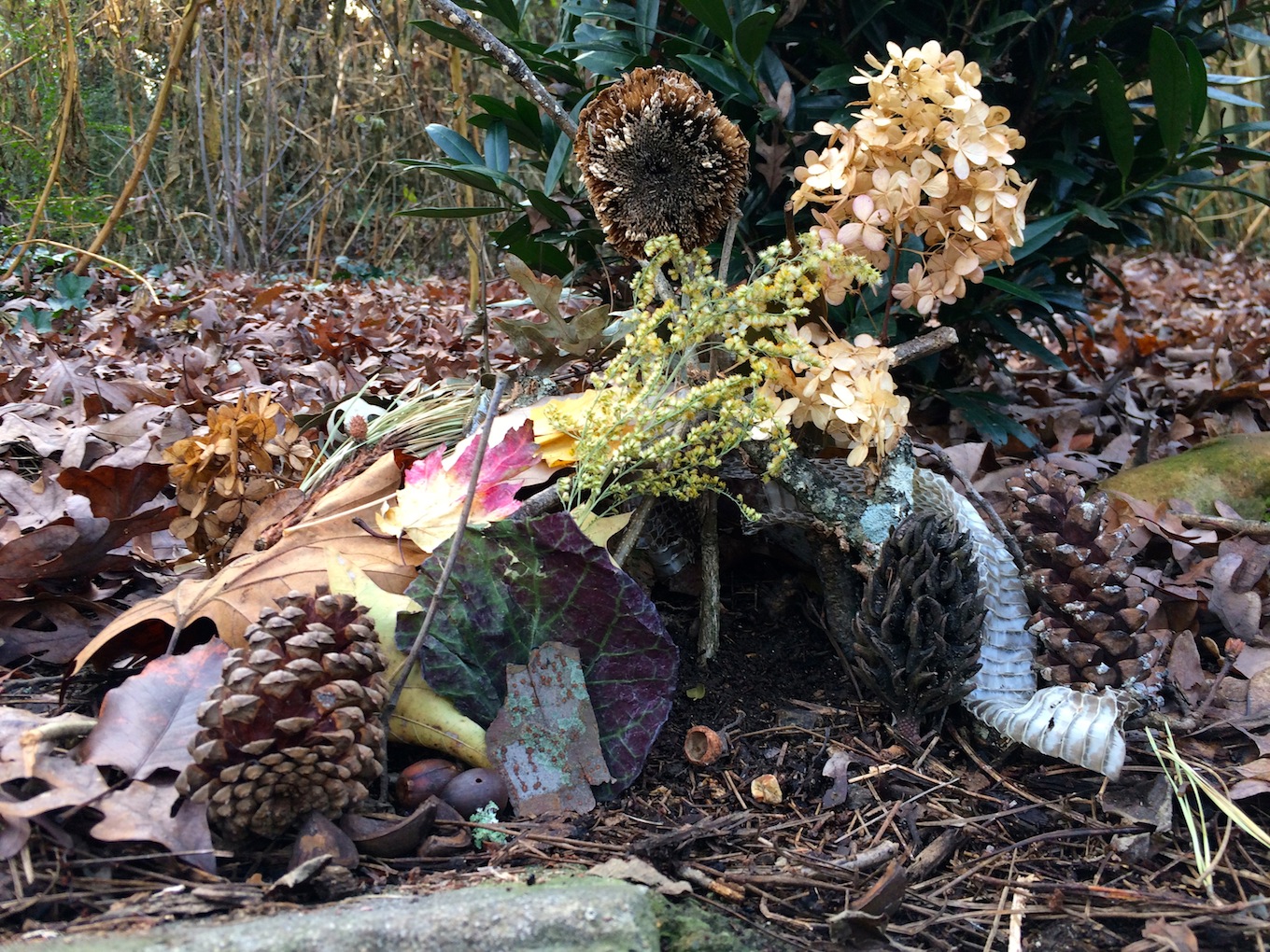 Building Fairy Houses in nature