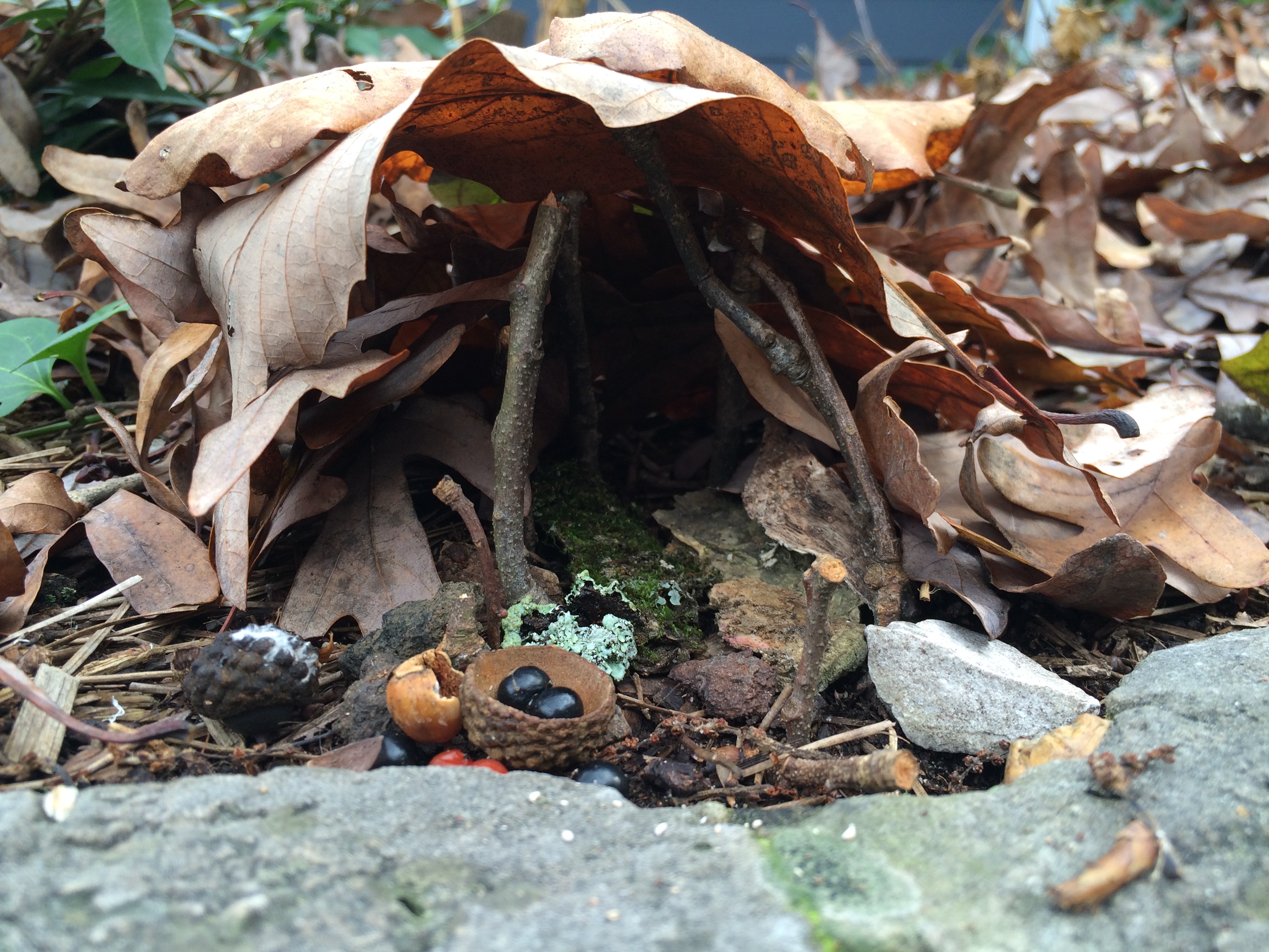 Building Fairy Houses with Kids using natural materials for an imaginative experiance in ephemeral art